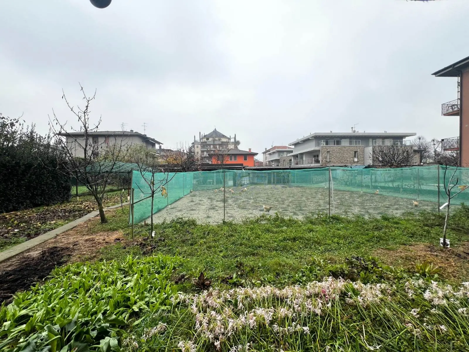 Terreno Edificabile in Via Cesare Beccaria Terreno Edificabile in Via Cesare Beccaria