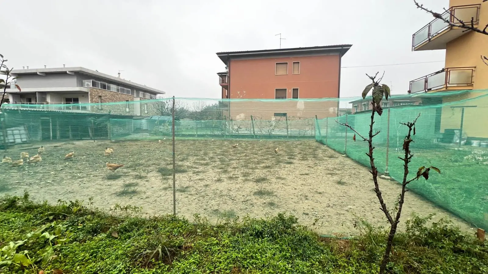 Terreno Edificabile in Via Cesare Beccaria Terreno Edificabile in Via Cesare Beccaria