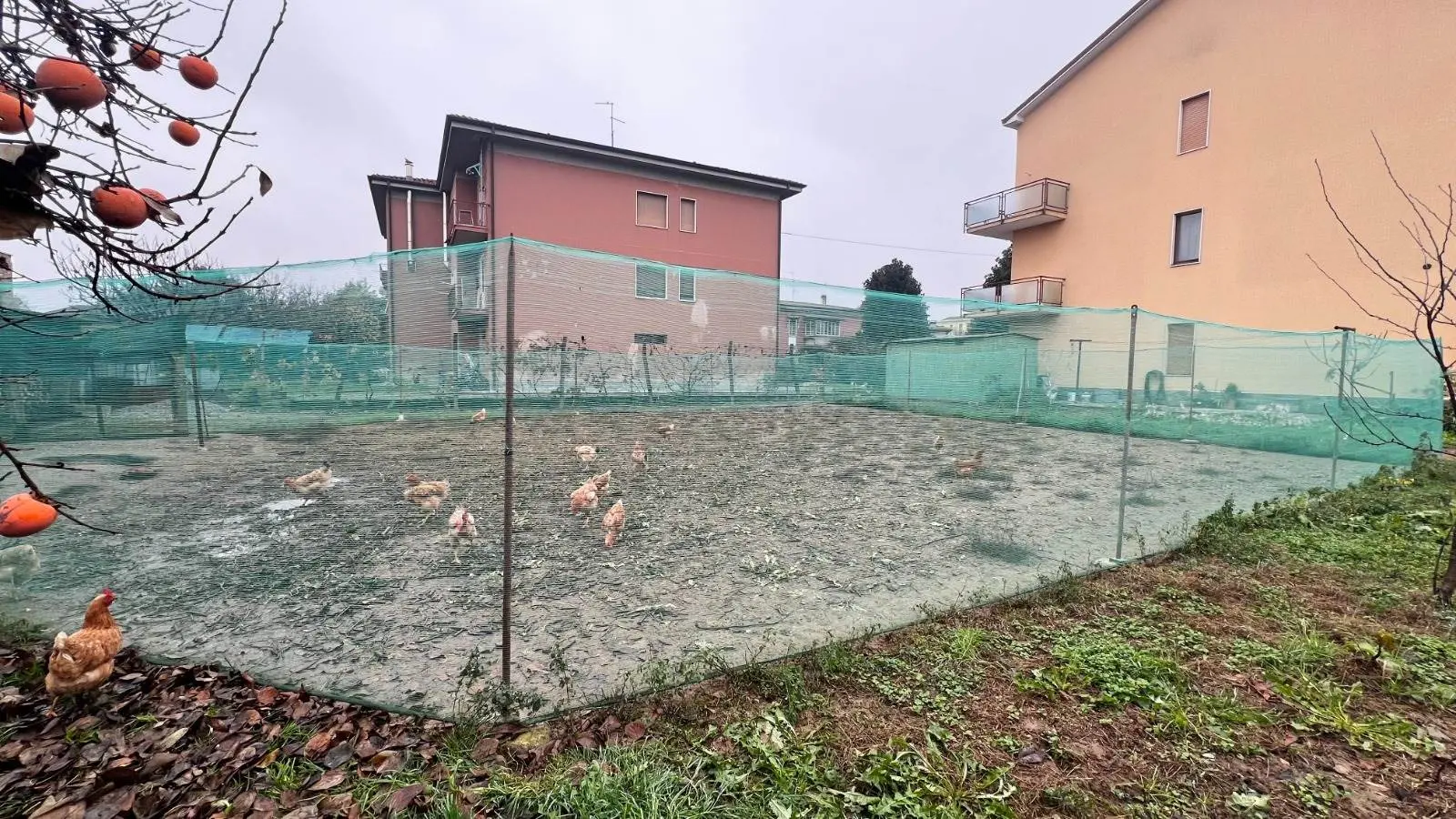 Terreno Edificabile in Via Cesare Beccaria Terreno Edificabile in Via Cesare Beccaria